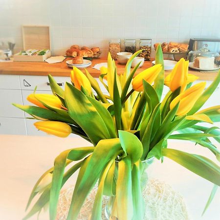 Saka Vacation House Druskininkai Luaran gambar