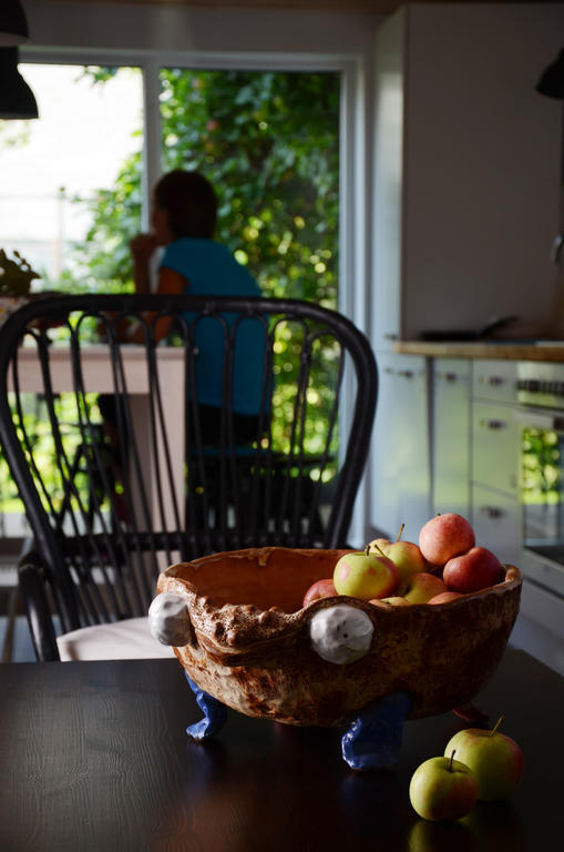 Saka Vacation House Druskininkai Luaran gambar
