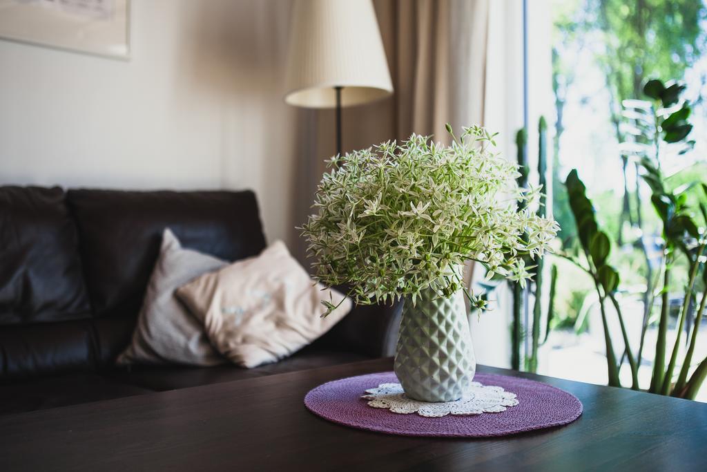 Saka Vacation House Druskininkai Luaran gambar
