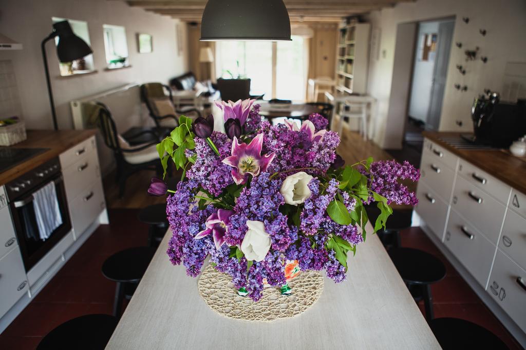 Saka Vacation House Druskininkai Luaran gambar