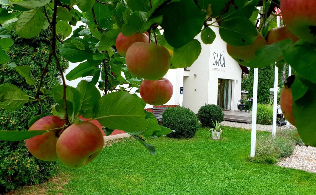 Saka Vacation House Druskininkai Luaran gambar